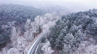 深入了解pcs什么意思? - 热议、分享、交流的红迪网平台